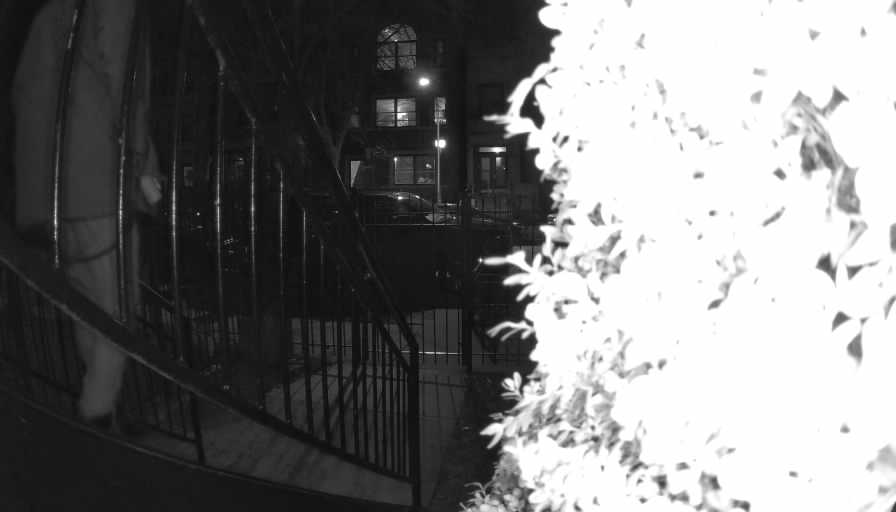 Reolink Camera Two_01_Reolink Home Hub One_20250227203133.jpg